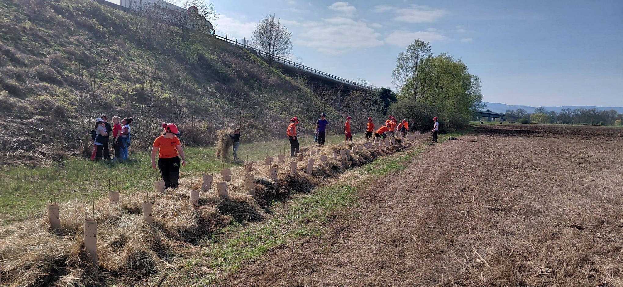 Les élèves GMNF en action à Grièges